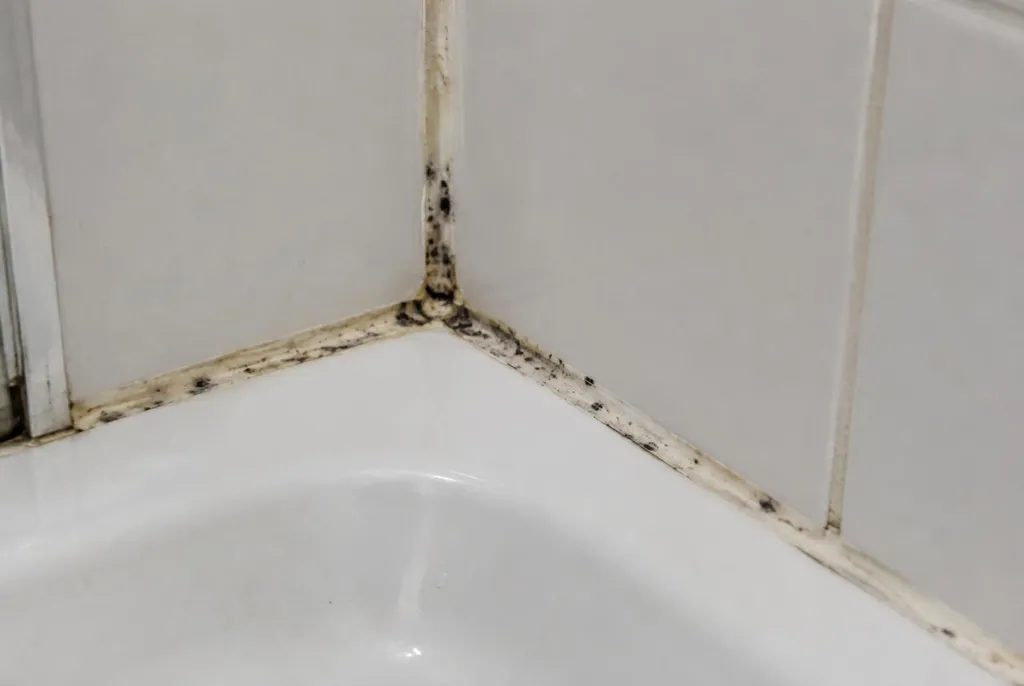 Kitbedrijf Bodegraven – beschimmelde kitranden